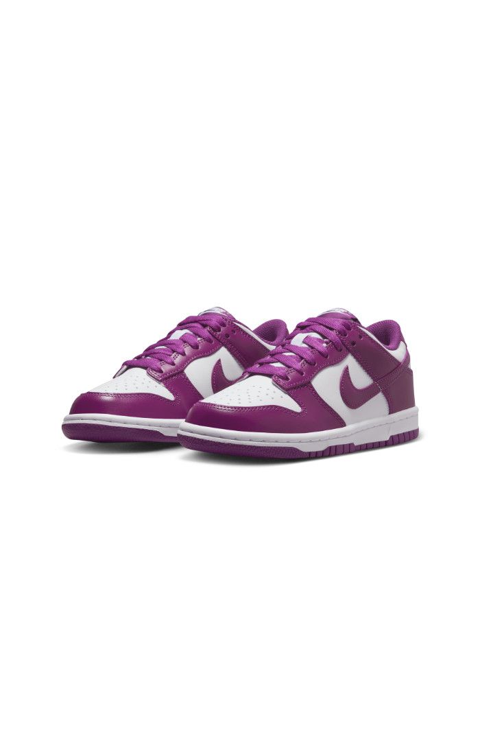 NIKE Dunk Low Youth "Viotech"