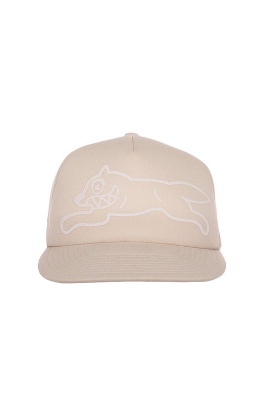 Options Trucker Hat Fog