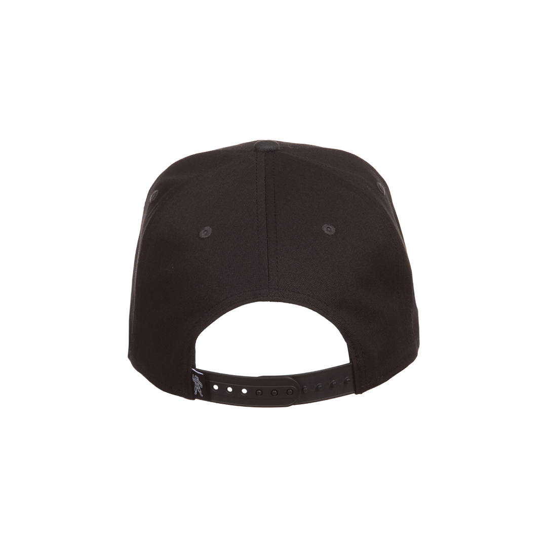 Two Tone Hat