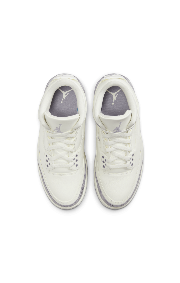 AIR JORDAN 3 Women's "Metalllic"