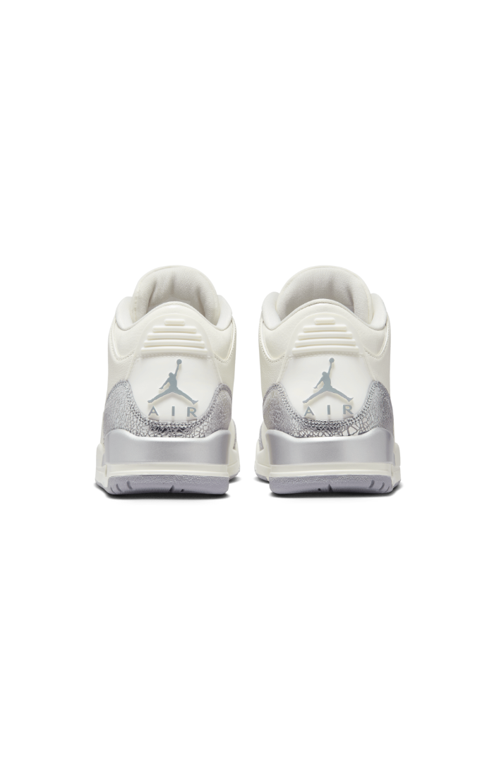AIR JORDAN 3 Women's "Metalllic"