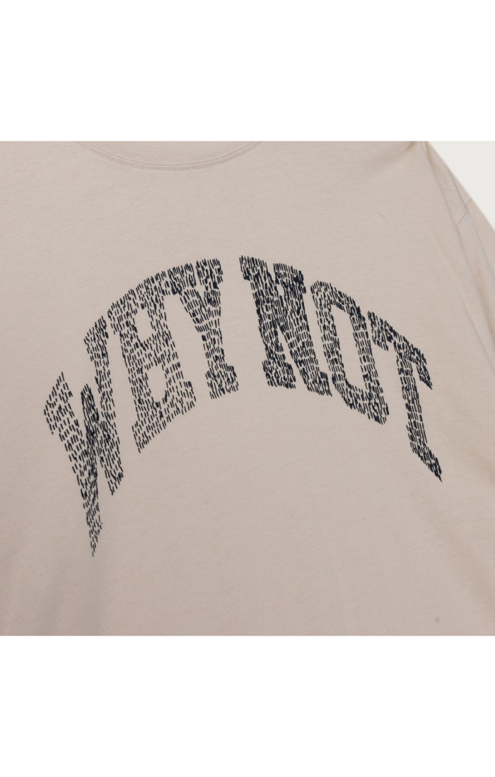 Why Not LS Tee Sand