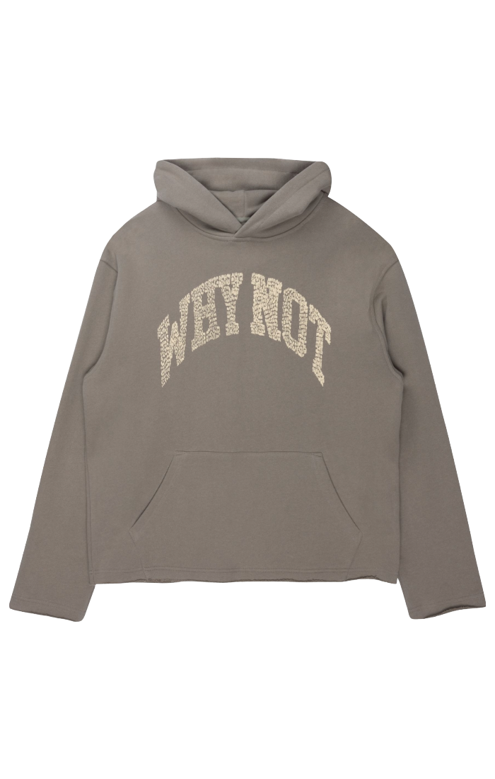Why Not Hoodie Taupe