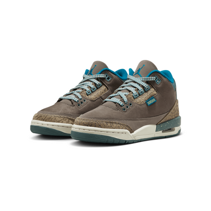 Air Jordan 3 Retro Youth "We Outside"