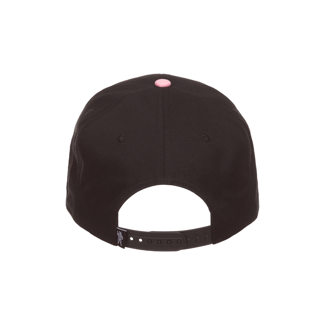 Two Tone Snap Back Hat