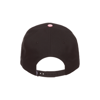 Two Tone Snap Back Hat