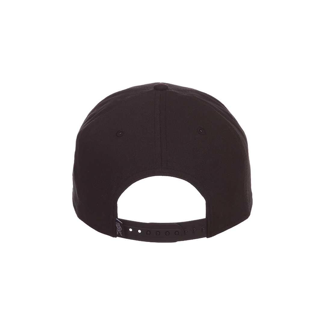 Cap Snapback Hat (Black) O/S