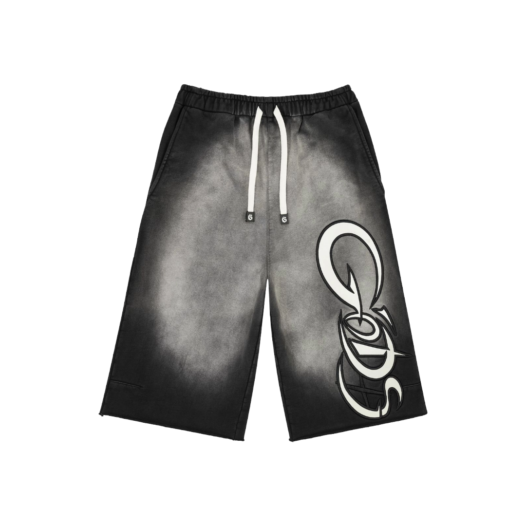 New Age 3QRTR Shorts