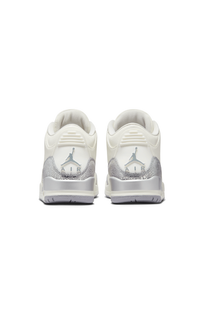 AIR JORDAN 3 Women's "Metalllic"